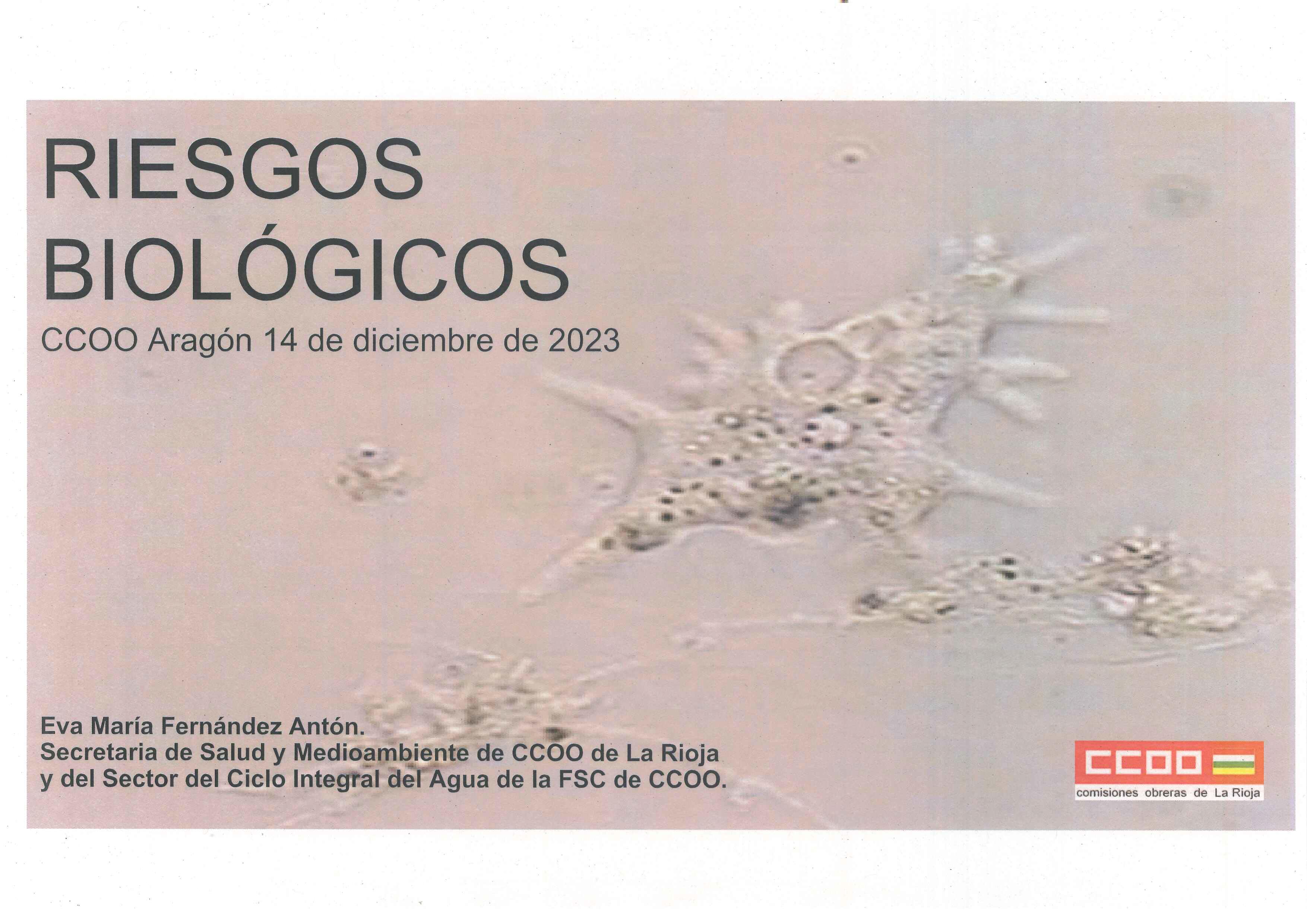 PRESENTACIÓN SEMINARIO Riesgos biológicos. Eva María Fernández. 14-12-23